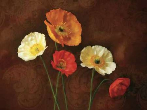 Poppy Perfection I Poster Print by Janel Pahl - Item # VARPDXPLP102