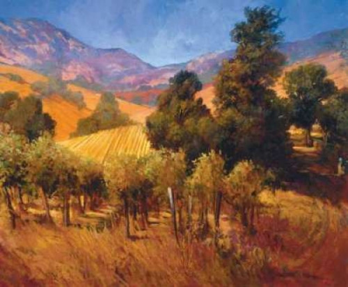 Southern Vineyard Hillside Poster Print by Philip Craig - Item # VARPDX8348