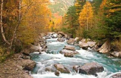 Wild river 830 Poster Print by J.A. Palacios - Item # VARPDXJAP029