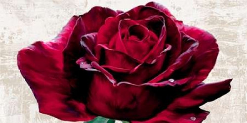 Purple Dame Poster Print by Teo Rizzardi - Item # VARPDX2TR2534