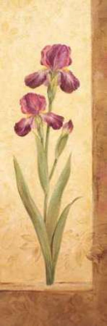 Grandiflora II Poster Print by Pamela Gladding - Item # VARPDXGLA442