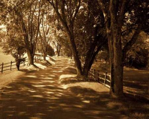 Summer Stroll I Poster Print by Alan Hausenflock - Item # VARPDXPSHSF289