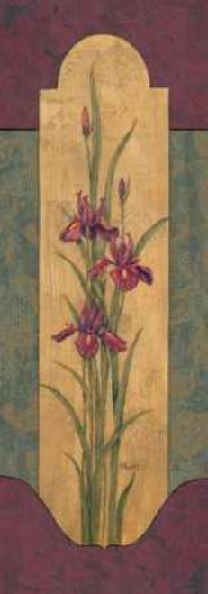 Greek Iris II Poster Print by Paul Brent - Item # VARPDXBNT127