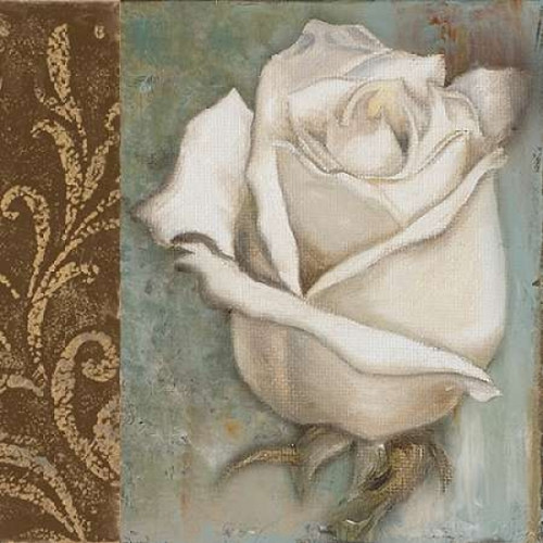 Rose I Poster Print by  Patricia Pinto - Item # VARPDX6197A