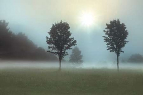 Sunburst Poster Print by Monte Nagler - Item # VARPDXNMP324