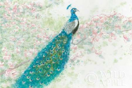 Spring Peacock I Pink Flowers Poster Print by  James Wiens - Item # VARPDX24335