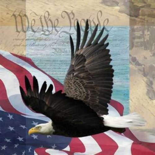Freedom II Poster Print by Todd Williams - Item # VARPDXTWM101