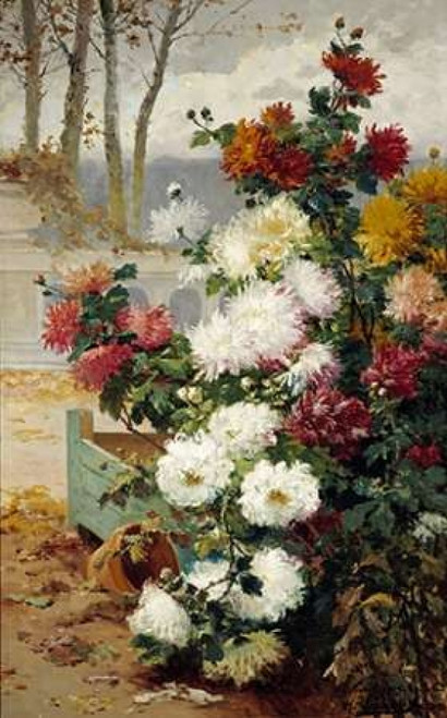 Chrysanthemums In a Walled Garden Poster Print by  Eugene Henri Chuchois - Item # VARPDX266085