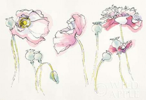 Pink Somniferums Poster Print by  Shirley Novak - Item # VARPDX25011