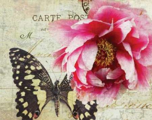 Carte Postale Peony Poster Print by Amy Melious - Item # VARPDXMEL475