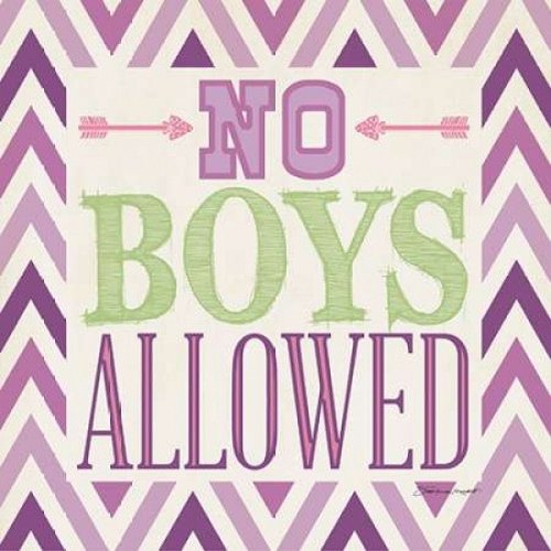 Playroom No Boys II Poster Print by  Stephanie Marrott - Item # VARPDXSM10699