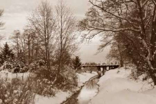 Winter Scenic I Poster Print by Dana Styber - Item # VARPDXPSSTY154