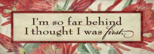 Im So Far Poster Print by Stephanie Marrott - Item # VARPDXSM7246