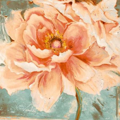 Beautiful Peonies Square I Poster Print by Patricia Pinto - Item # VARPDX9232