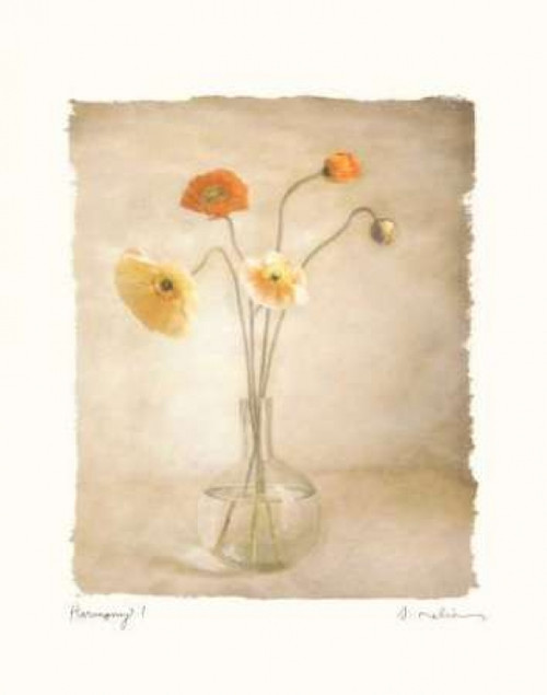 Harmony I Poster Print by Amy Melious - Item # VARPDXMEL283