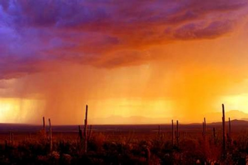Evening Rain Poster Print by Douglas Taylor - Item # VARPDXPSTLR153