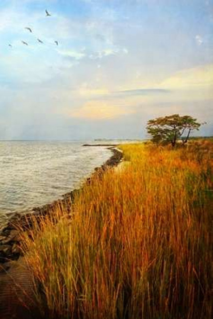 Morning Has Broken Poster Print by John Rivera - Item # VARPDXR1049D