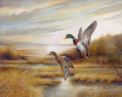 Mallards Poster Print by Ruane Manning - Item # VARPDX8505E