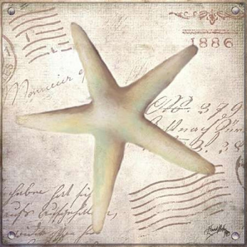 Beach Shell IV Poster Print by Elizabeth Medley - Item # VARPDX9342B