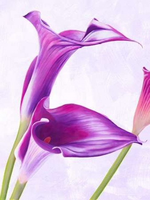 Duet I Poster Print by Luca Villa - Item # VARPDX3LC795