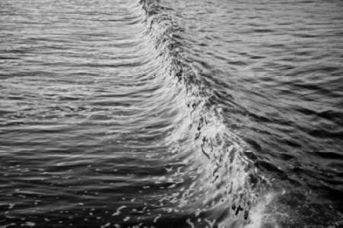 Wave II Poster Print by Lee Peterson - Item # VARPDXPSPSN115