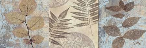 Leaves and Rosettes I Poster Print by Elizabeth Medley - Item # VARPDX8970D