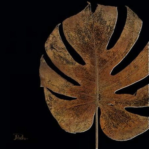 Black Balazo II Poster Print by Patricia Pinto - Item # VARPDX7623