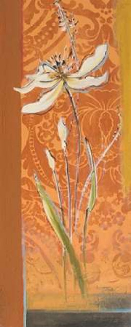 Fancy Floral II Poster Print by Patricia Pinto - Item # VARPDX7935