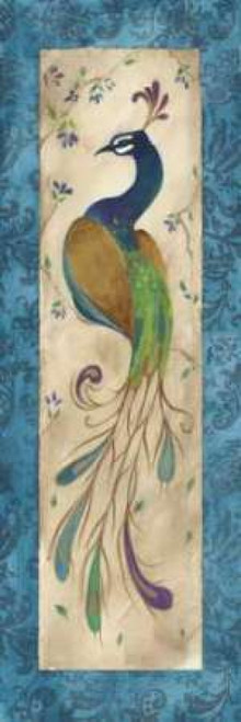 Peacock IV Poster Print by Steve Leal