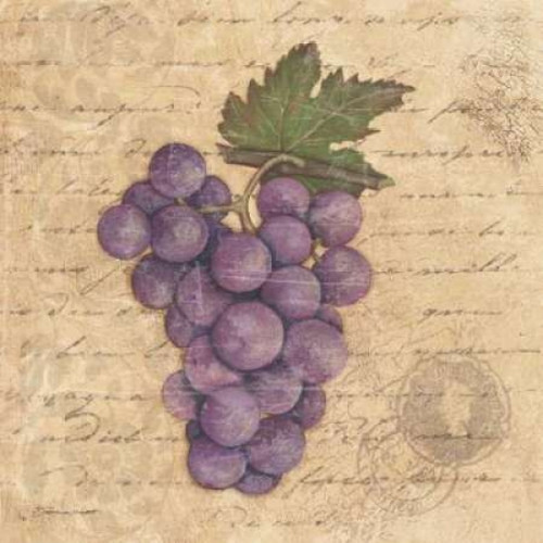 Grapes I Poster Print by Stephanie Marrott - Item # VARPDXSM7732