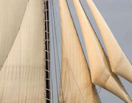 Lily of the Valley Spa Poster Print by Danhui Nai - Item # VARPDX5598