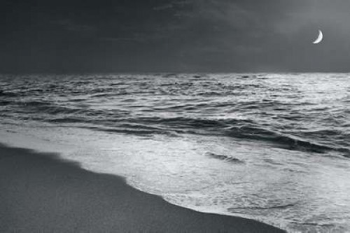 Moonrise Beach Black and White Poster Print by Sue Schlabach - Item # VARPDX21221