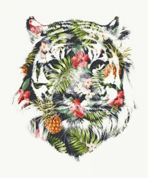 Tropical Tiger Poster Print by Robert Farkas - Item # VARPDXF464D