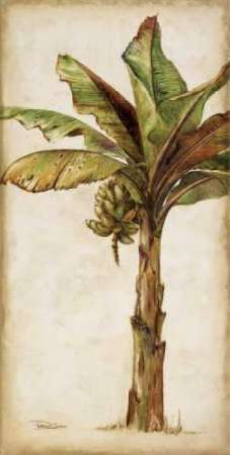Tropic Banana II Poster Print by Patricia Pinto - Item # VARPDX5644