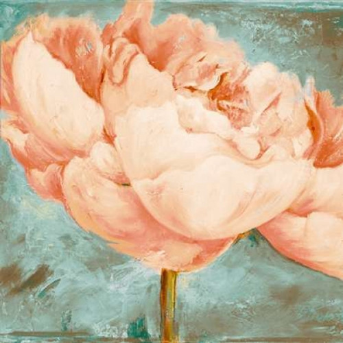 Beautiful Peonies Square II Poster Print by Patricia Pinto - Item # VARPDX9233