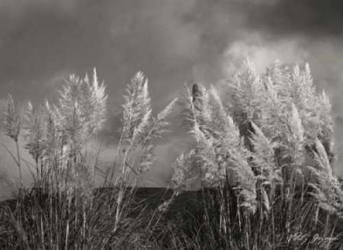 White Towers II BandW Poster Print by Vitaly Geyman - Item # VARPDXPSVIT215