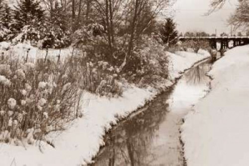 Winter Scenic II Poster Print by Dana Styber - Item # VARPDXPSSTY155