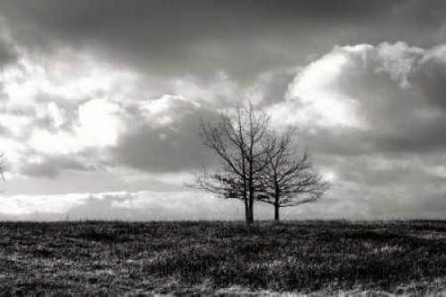 Winter Silence II Poster Print by Alan Hausenflock - Item # VARPDXPSHSF1325