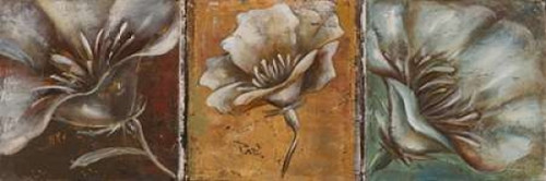 The Three Poppies I Poster Print by Patricia Pinto - Item # VARPDX7072