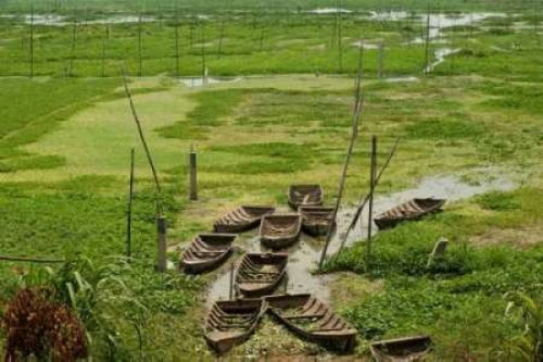 Boats I Poster Print by Erin Berzel - Item # VARPDXPSBZL606