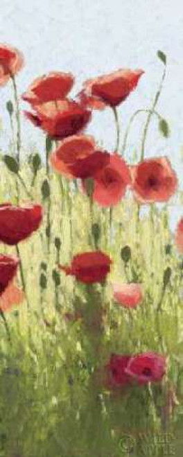 Mountain Poppies I - Wag Poster Print by Shirley Novak - Item # VARPDX4727