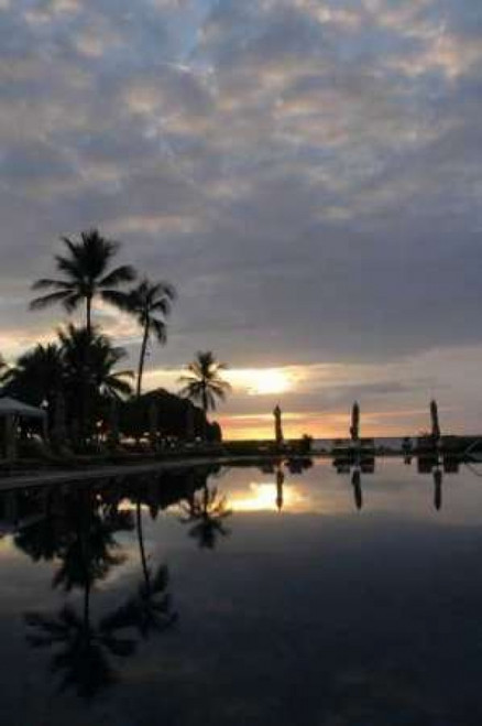 Tropical Paradise Poster Print by Erin Berzel - Item # VARPDXPSBZL198 Tropical Paradise Poster Print by Erin Berzel - Item # VARPDXPSBZL198