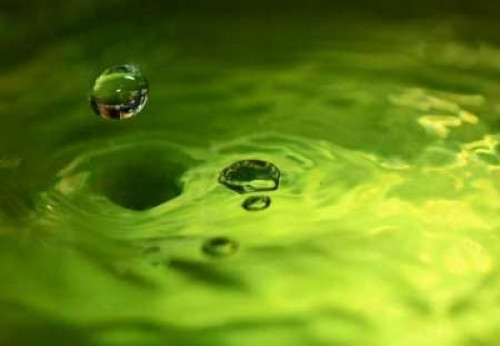 Lemon Lime Drop I Poster Print by Tammy Putman - Item # VARPDXPSPTM169