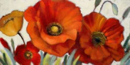 Poppy Splendor I Poster Print by Lanie Loreth - Item # VARPDX7957