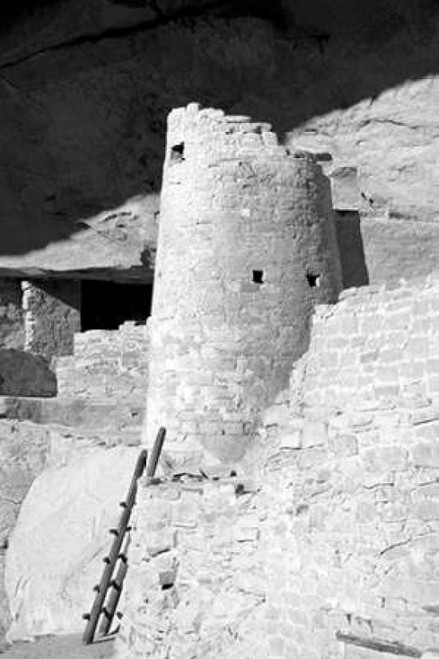 Cliff Palace Detail II BW Poster Print by Douglas Taylor - Item # VARPDXPSTLR472