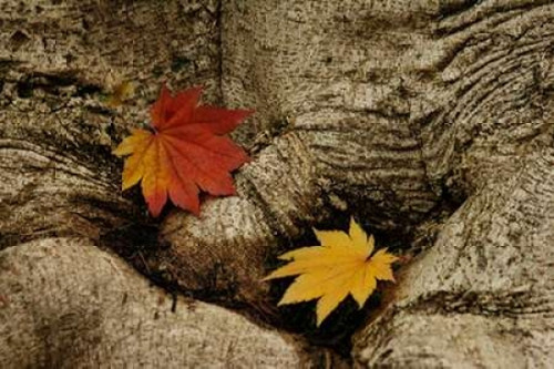 Ancient Beauty Poster Print by Vitaly Geyman - Item # VARPDXPSVIT583