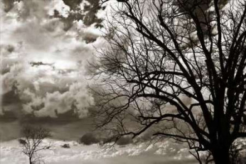 Approaching Storm I Poster Print by Alan Hausenflock - Item # VARPDXPSHSF128