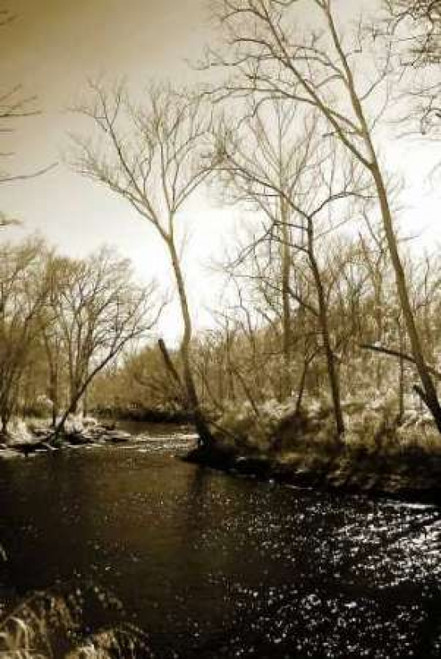 Winter on the Neuse River Poster Print by Alan Hausenflock - Item # VARPDXPSHSF514