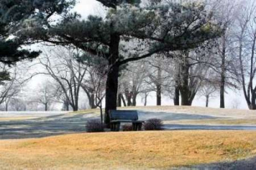 Bench II Poster Print by Tammy Putman - Item # VARPDXPSPTM108