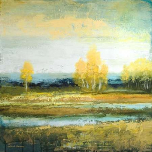 Marsh Lands I Poster Print by Michael Marcon - Item # VARPDX9982